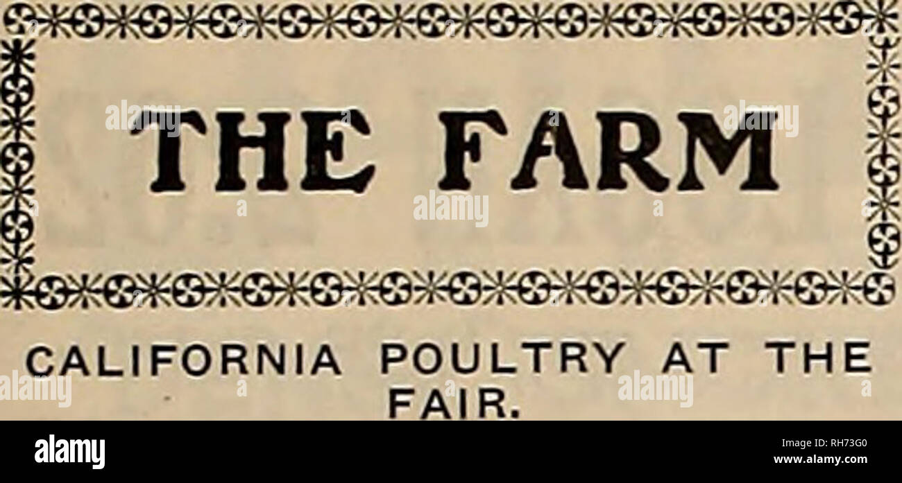 bolsagage weight limit