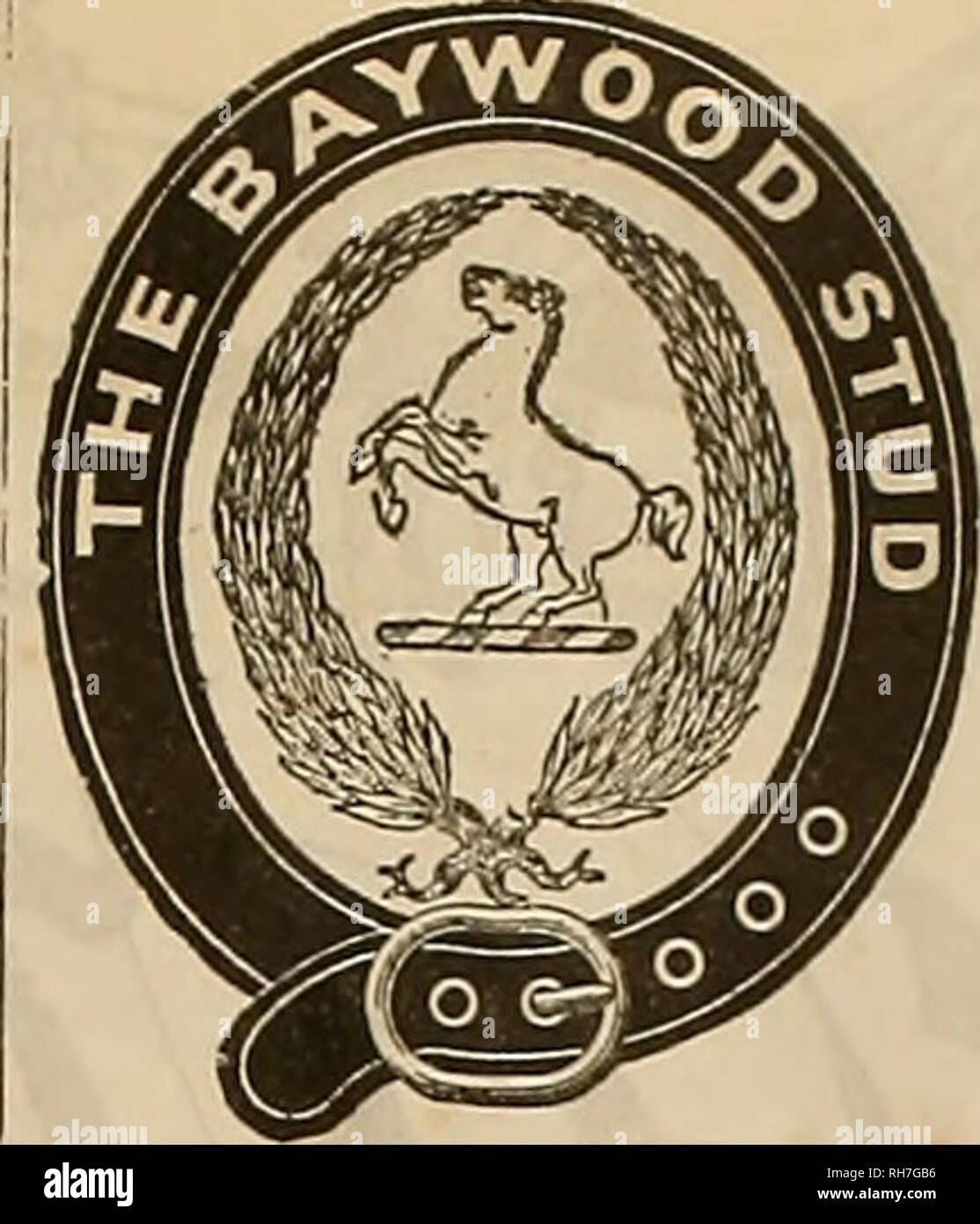 reglas de registro akc