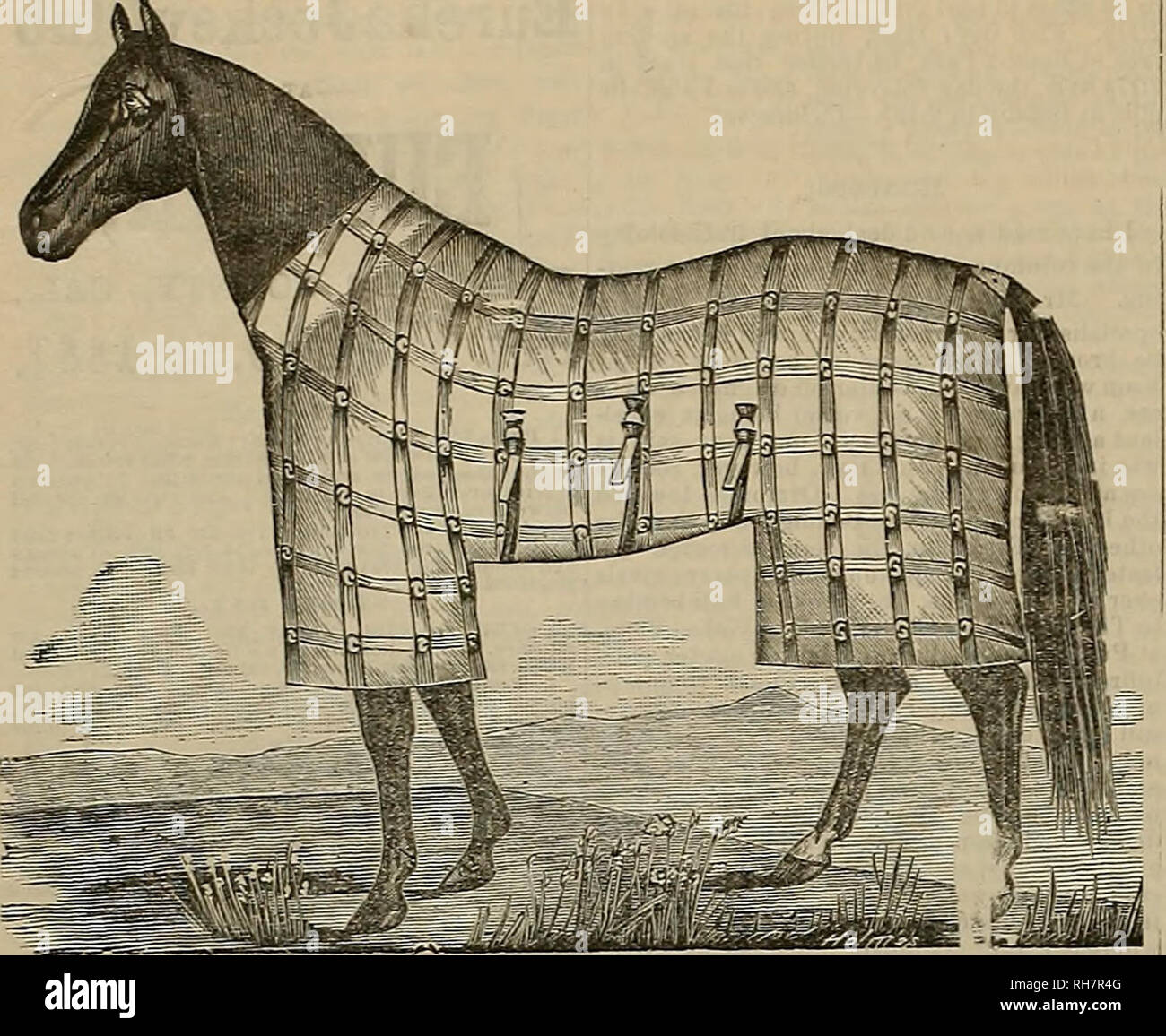 . El obtentor y el deportista. Los caballos. 334 fgfce *gxtz&juc ana J^crrtsms**. Nov 19i mejorado vestido de caballo. Fabrica y venta por L. D. STONE &Amp; CO, 422 y 424 Batería St., San I KAX 1Sondent8 abraza a cada criador y distribuidor de prom- nence a la costa del Pacífico, permitiendo tbus ub lámina para dar publicidad a los animales puestos a la venta con nosotros. Las compras y las ventas privadas de ganado de todas las descripciones se hará en comisión, y Btock enviado con el máximo cuidado. Las compras y ventas hechas de tierra de cada descripción. Estamos autor- izado para referirse a los señores cuyos nombres ar ap Foto de stock