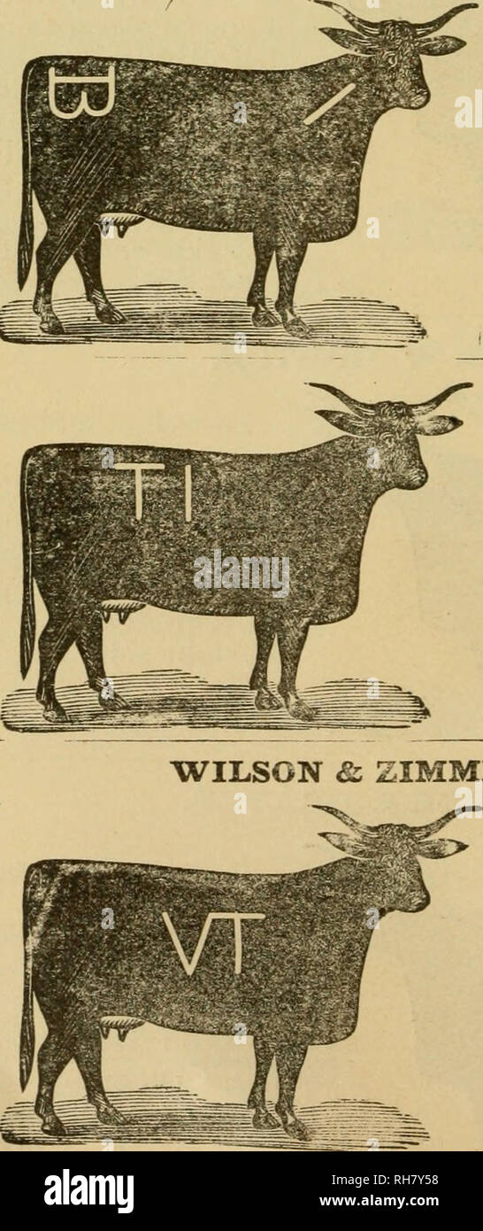 . Libro de marca. Marcas de ganado; marcas de ganado. Dirección post