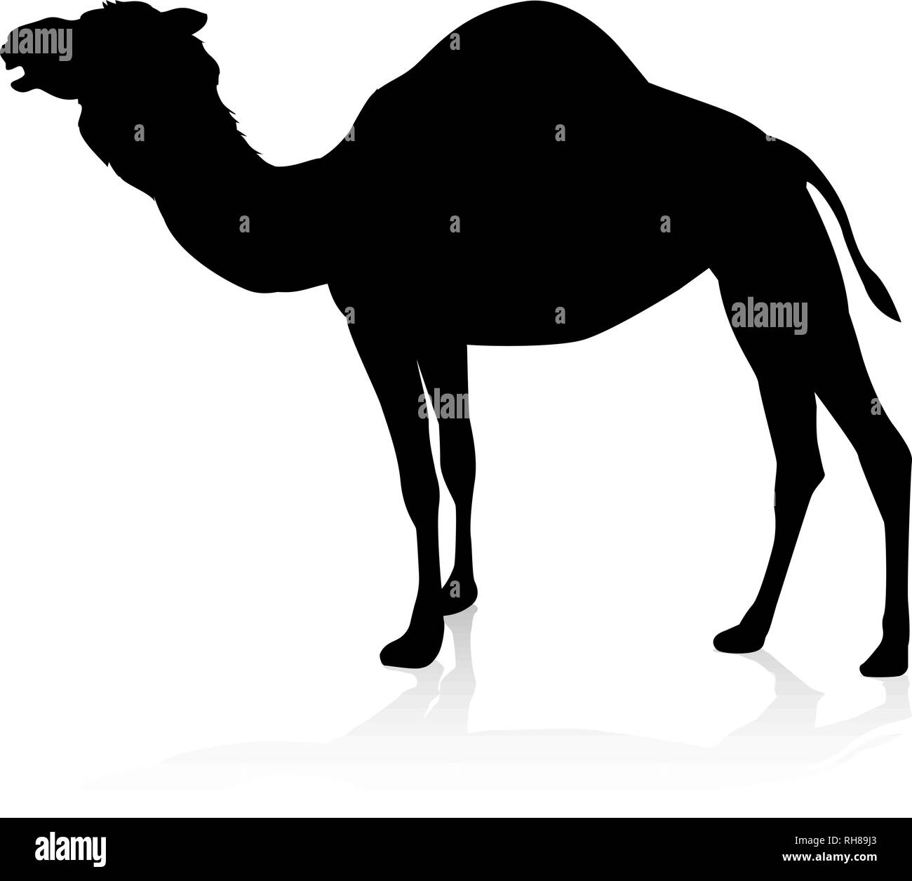 Camello silueta Animal Ilustración del Vector