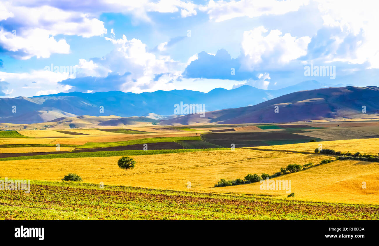 Fondo Panorámico De Bello Color Verde Amarillo Y Campos Con - 