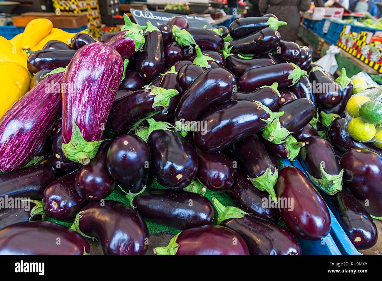 Berenjena (Solanum melongena) en un mercado semanal, Países Bajos Foto de stock
