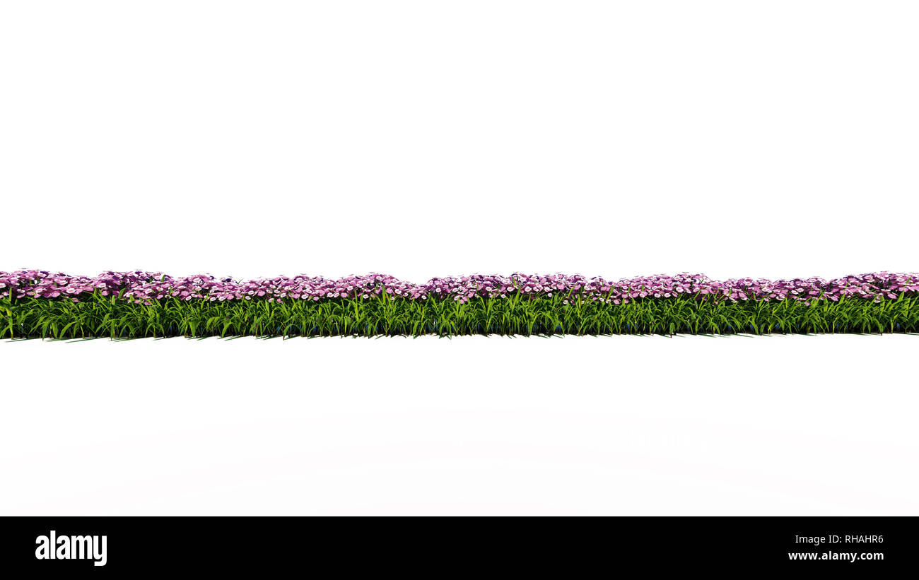 Flores jardín de la pared Imágenes recortadas de stock - Página 3 - Alamy