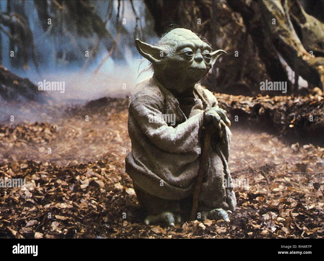 YODA, Star Wars: Episodio V - El Imperio Contraataca, 1980 Fotografía de  stock - Alamy