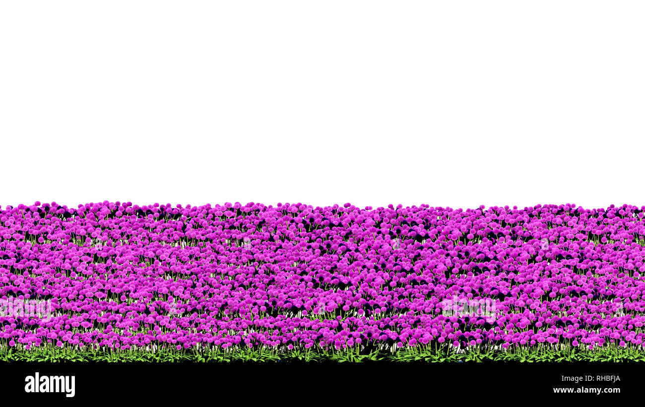 Valla de jardín 3d fotografías e imágenes de alta resolución - Página 3 - Alamy Valla de jardín 3d fotografías e imágenes de alta resolución - Página 3 - Alamy