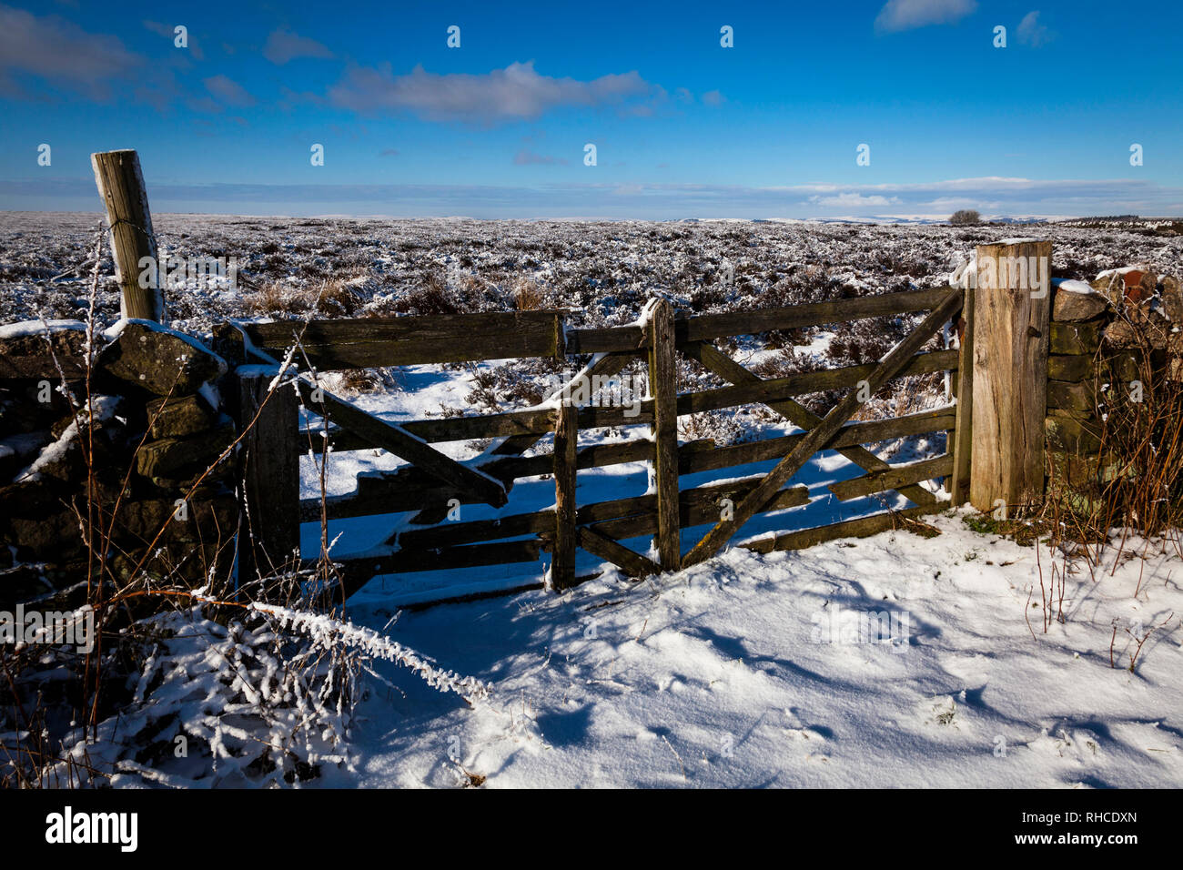 Beeley Moor, Derbyshire, Reino Unido, 2 de febrero de 2019. De la noche a la mañana la nieve en el Peak District crea un impresionante paisaje en invierno sombrío Beeley Moor, Derbyshire, Crédito: Mark Richardson/Alamy Live News Foto de stock