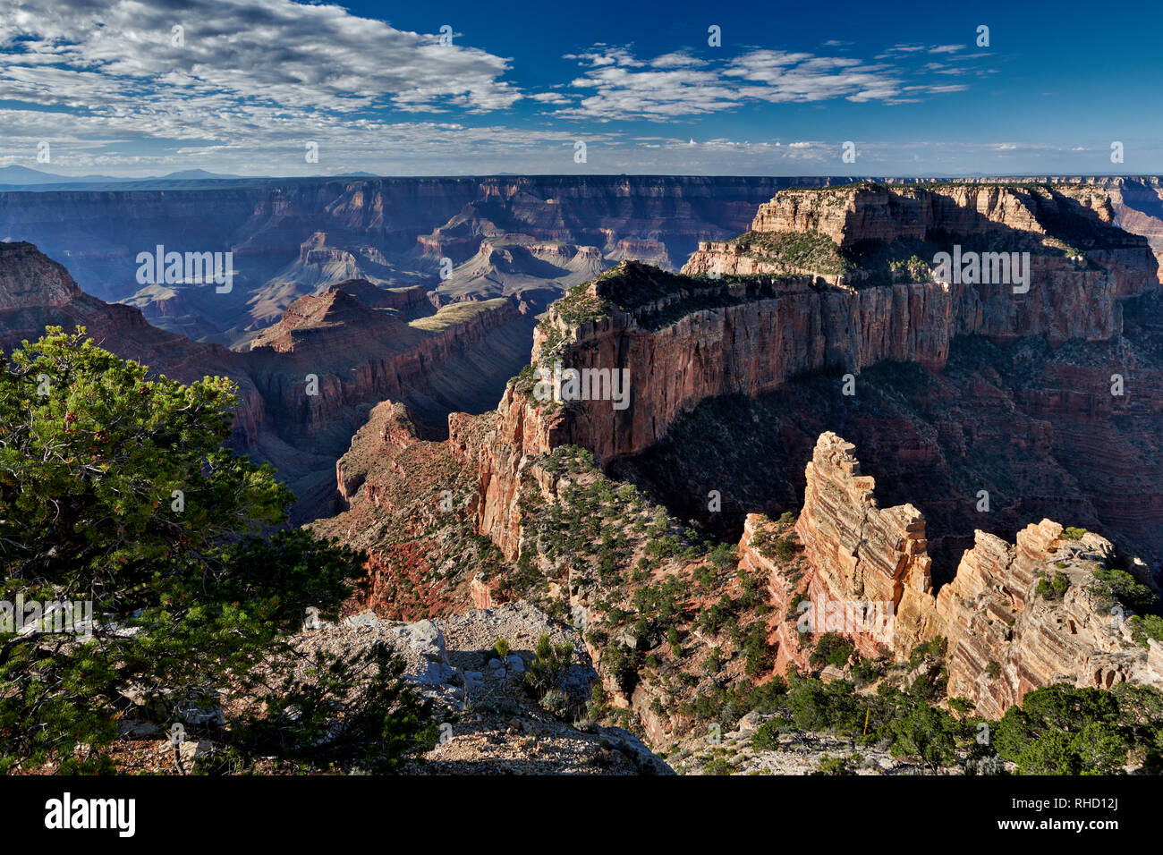 Grand Canyon, Wotans Trono, Cabo Royal viewpoint, North Rim, Arizona, EE.UU. Foto de stock