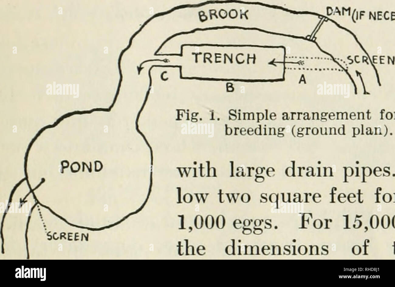 El libro de los peces y la pesca; . Fig. Arreglo simple para la cría de  truchas (sección de la fig. 1). Con lagos, estanques y ríos que ya  contienen trucha