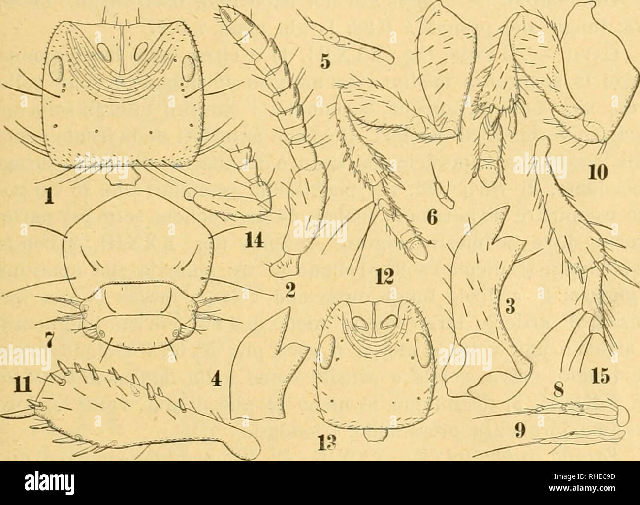 Forma D Fotos E Imagenes De Stock Pagina 8 Alamy