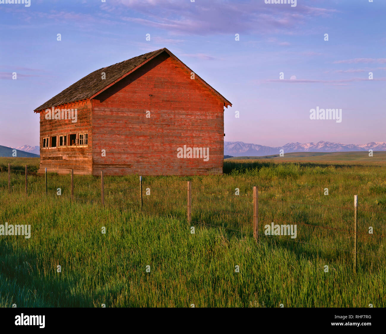 USA, Oregon, Wallowa County, Zumwalt Prairie Preserve, capeado granero y hierbas de pradera nativa con Wallowa montañas en la distancia. Foto de stock