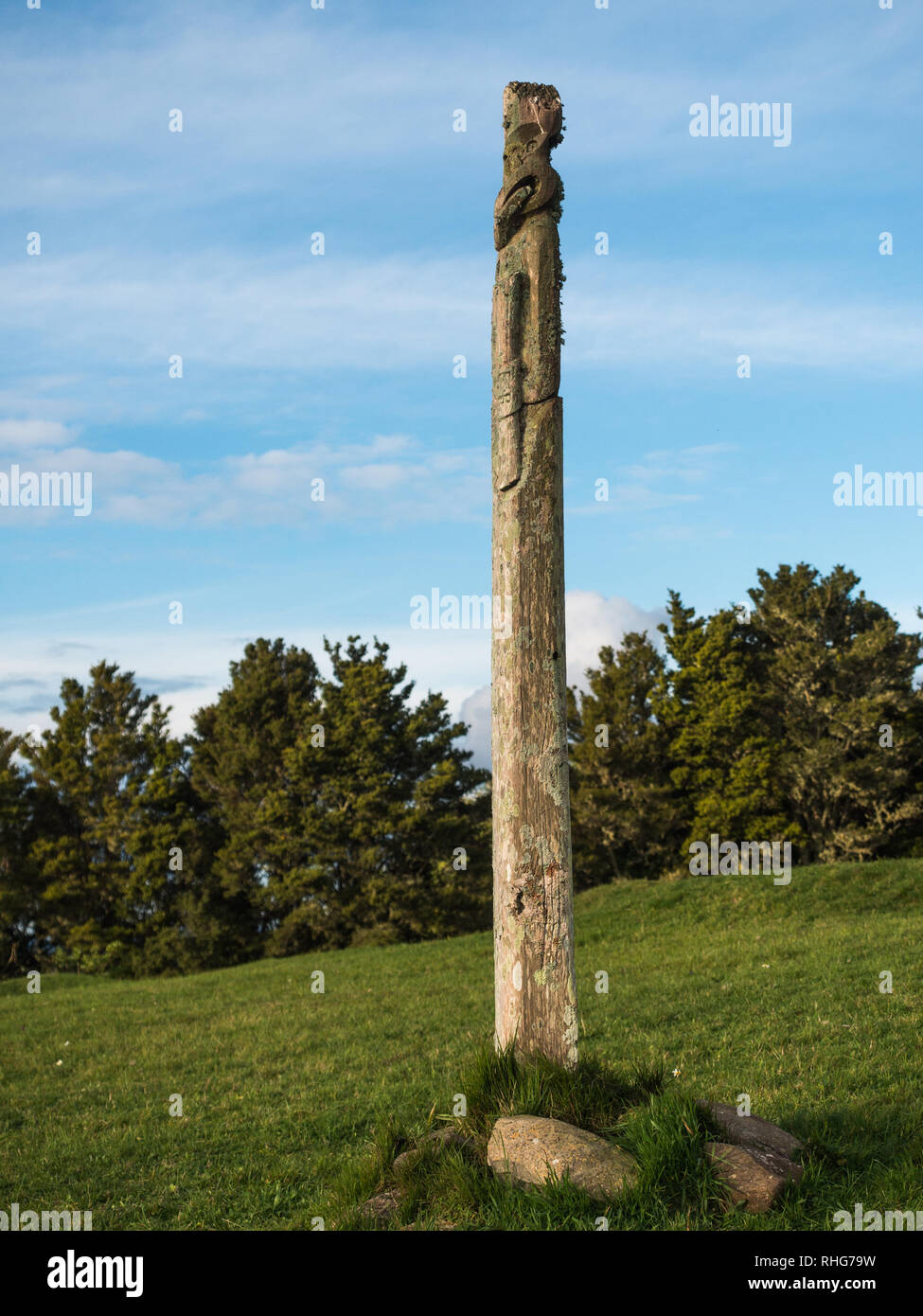 Antiguo pou whenua post de madera tallada, marcando el campo de batalla donde la sangre fue derramada como un lugar sagrado, tapu wahi Ruapekapeka, Northland, Nueva Zelanda Foto de stock