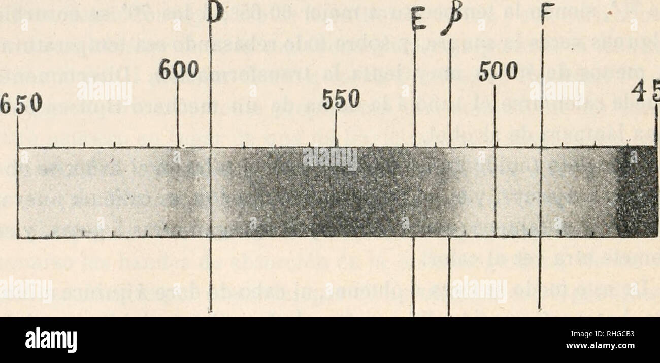 . Boletín de la Sociedad Española de Historia Natural. Historia natural. 246 nOLKTTN DK l.A REAL SOCIEDAD ESPAÑOLA el lubo esté colocado en el exterior de las habitaciones. En el inte- rior del laboratorio, sobre una mesa, la sangre se transforma muy lentamente, ó no lo hace del todo. Si colocamos los tubos en el inteiior de un estante, al abrigo de la luz, no tiene lugar la transformación ni transcurridos tres ó cuatro días. Estos mismos tubos, puestos después á la luz solar, se transforma en ellos uno en otro cuerpo. Creemos que la transformación es más rápida con la luminosi- dad de la mañan Foto de stock