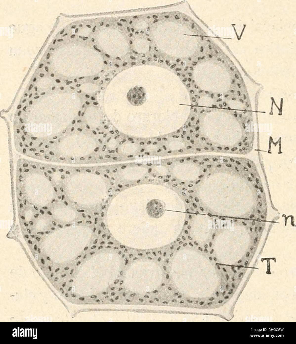 Boletn De La Real Sociedad Espaola De Historia Natural La Real Sociedad Espaola De Historia Natural