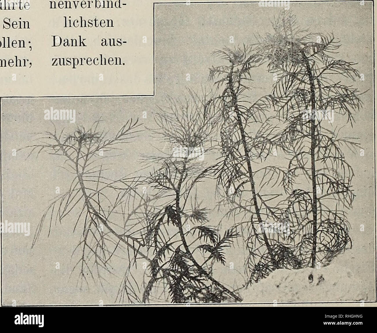 Montag Fruh Fotos E Imagenes De Stock Alamy