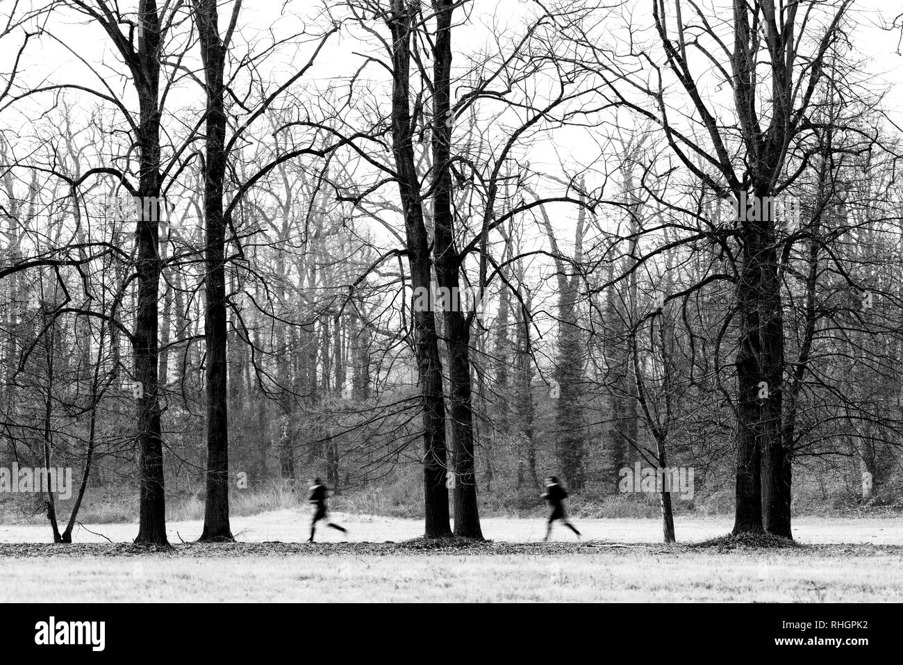 Imagen Espalda Del Hombre Ropa Deportiva Ejecución Bosque Invierno