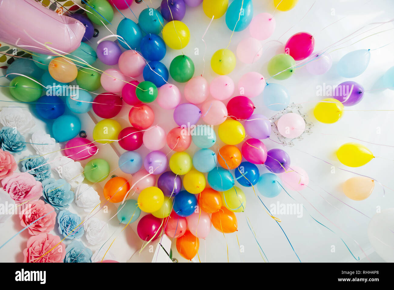 Grupo de coloridos globos de helio atrapado en un techo blanco.  Multicolores flores de papel en la pared. Decoración de bodas Fotografía de  stock - Alamy