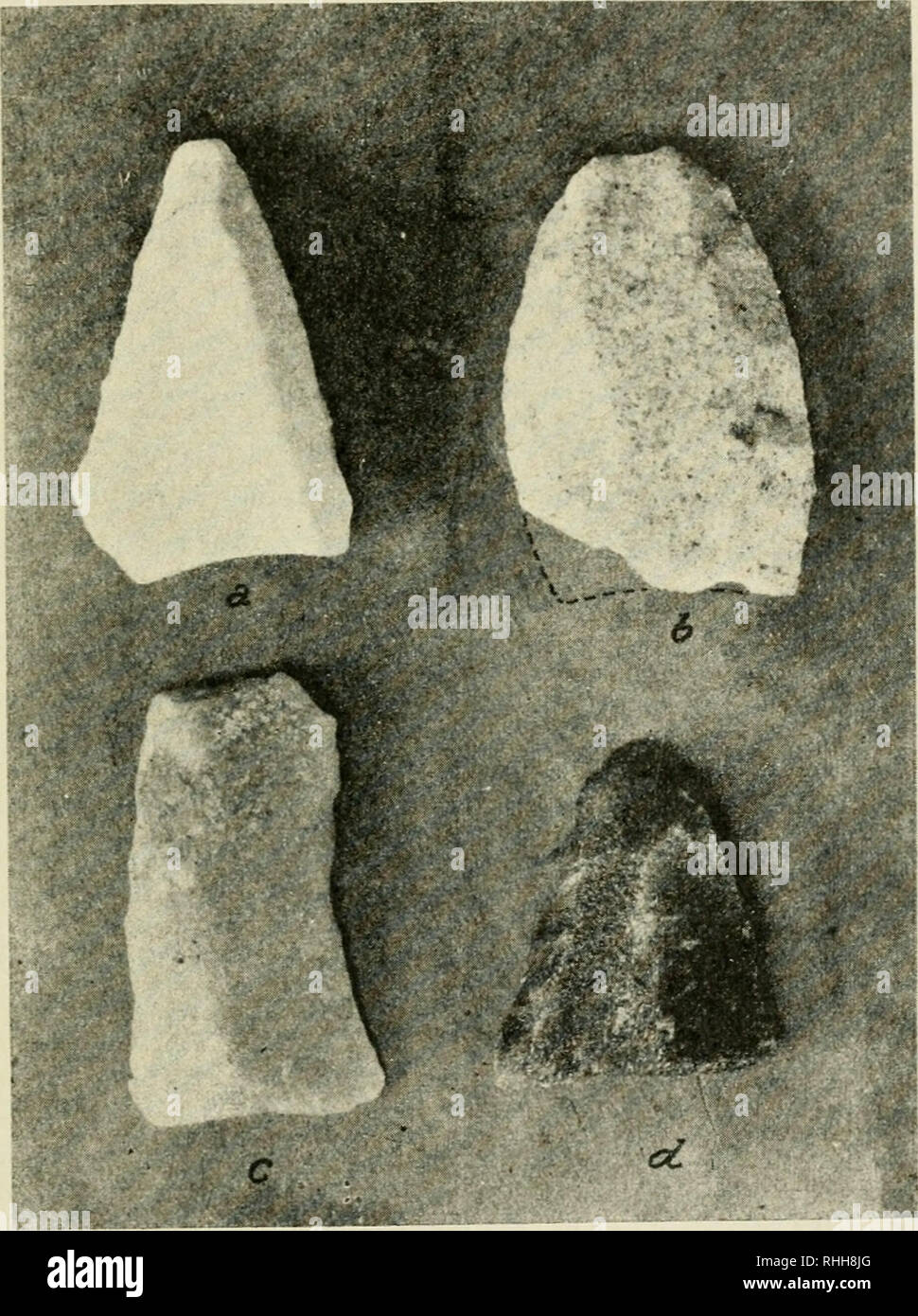 . Boletin de la Academia Nacional de Ciencias. La ciencia; la ciencia -- Argentina. LOS TEUUKXOS UE I.A Costa Atlántica 4ü5 .sobre una de sus caras, en cuarcita blanca, consiste en una simple astilla tritíngular triangular (flecha) con base cóncava y punta aguda. Miiiy gastada; de bordes laterales rectos y tallados por medio de gran- des golpes; de los dos uno solamente, el izquierdo, lia sido retocad"". Fig. Ü(i, - ^rtilaiti)s liti(OS del j>ifb<niiicrouse por medio de una serie de pequeños golpes muy irregulares, el otro, en cambio, suficientemente cortante no ha necesitado retoque. Tiene co Foto de stock