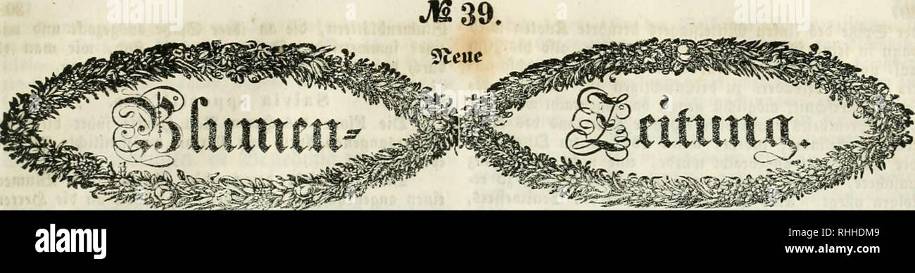 Blumen Zeitung La Floricultura Alemania Flor Jardineria Alemania Srcbacteut Rttarid A C A Alcr Ccticger S A C Ro Mann Ciflcnfeo Cn 30 Cptembcv 1 48 Jdet Sabcg Via Jiin Mit Seilagen Tojict 21 1 A Xxi Blumen Zeitung La Floricultura Alemania Flor Jardineria Alemania Srcbacteut Rttarid A C A Alcr Ccticger S A C Ro Mann Ciflcnfeo Cn 30 Cptembcv 1 48 Jdet Sabcg Via Jiin Mit Seilagen Tojict 21 1 A Xxi