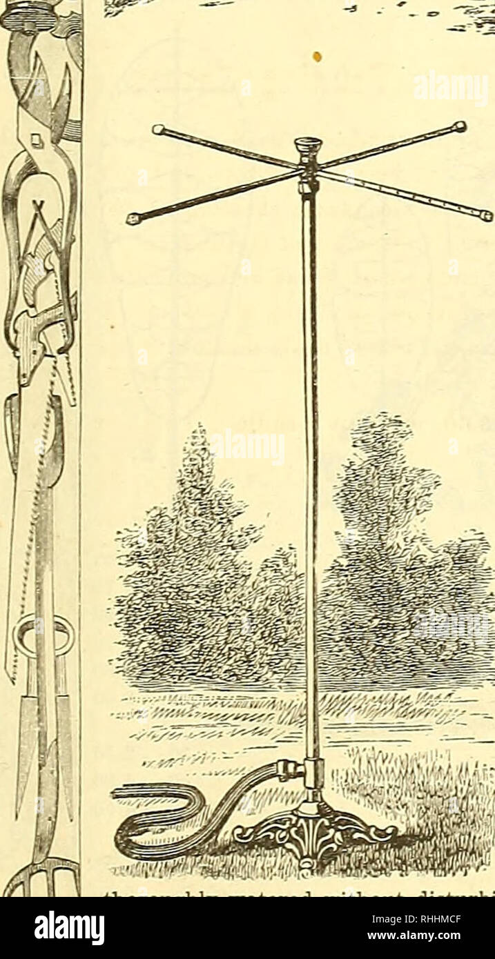 . B.K. Bliss e hijo ilustrado del catálogo de primavera y guía del