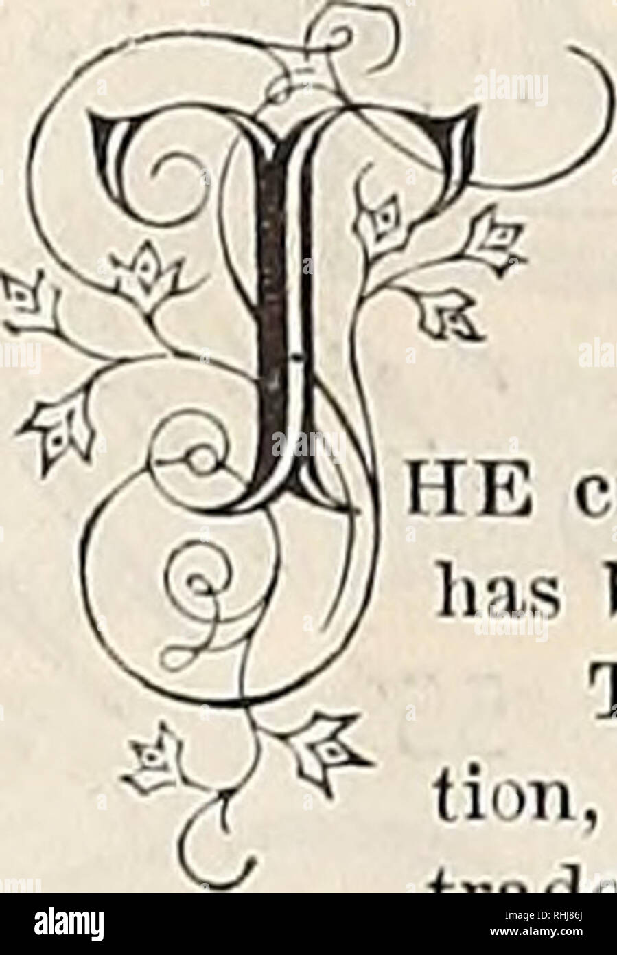 . B.K. Bliss e hijo ilustrado del catálogo de primavera y guía del aficionado a la flor y huerta. 108 B. K. BLISS &Amp; HIJO DE CATÁLOGO DE SEMILLAS. Requisitos de jardín. Plantas de maceta y jardín espalderas. | que el cultivo de plantas, arbustos, Viñas, etc., se ha convertido en tan extenso que gran demanda ha sido creado para la luz y elegantes marcos, o enrejados, para entrenarlos. Para atender esta demanda, que ha aumentado mucho desde que hemos dado nuestra aten- ción, hemos mejorado nuestras instalaciones para la fabricación de ellos, y están preparados para abastecer el comercio con un mejor surtido un Foto de stock