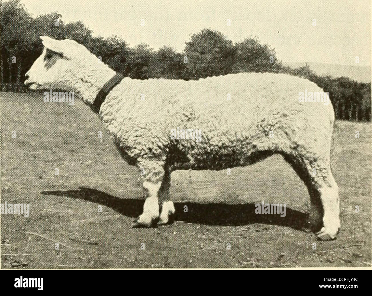 Recesivo fotografías e imágenes de alta resolución - Página 12 - Alamy