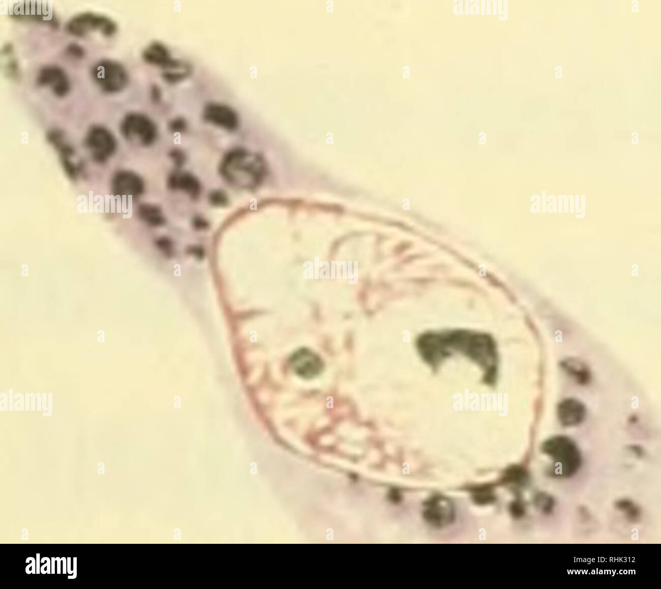 Bios V Gt A A V 4 A A W X R A Gt V Rt I Gt Ia G Un 8 A 3 O2 0 25 A A A S S 2 S E O Q O