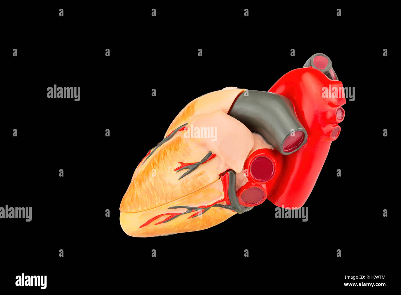 Modelo de corazón humano artificial aislado sobre fondo negro Foto de stock