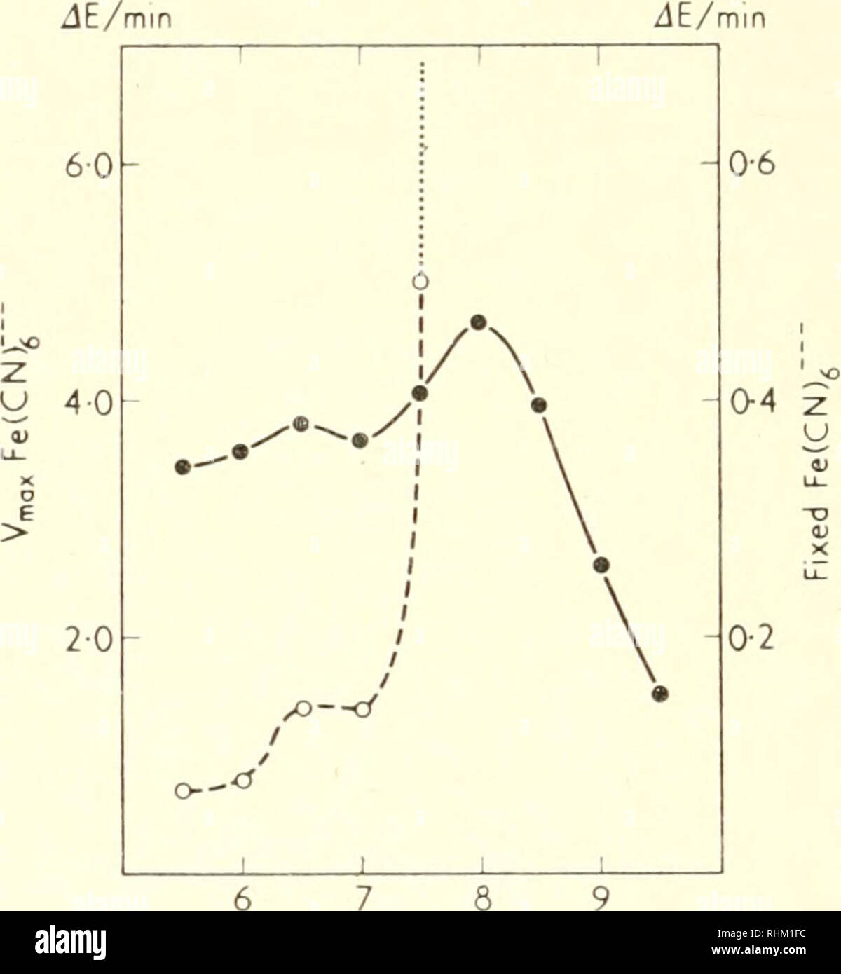 Estructura Y Funcion Biologica Procedimiento La Bioquimica Citologia Fig L Ml Fe Cn J 9 Ensayo Ferricyanide De Solubles Enzima Purificada A Diferentes Valores De Ph Zle Min Ph Fig 10 Efecto Del Ph Sobre