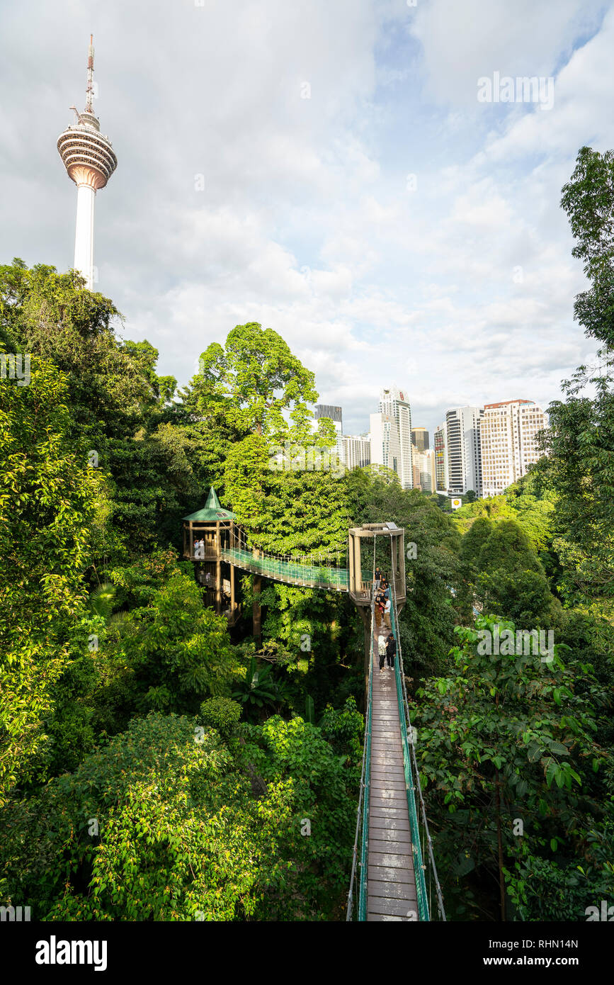 Una vista del paseo en el dosel del bosque KL Eco Park en Kuala Lumpur, Malasia Foto de stock