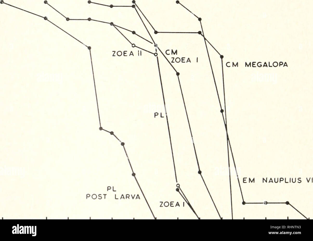 . El boletín biológica. La Biología, Zoología; biología; biología marina. 112 JOAN LANCE TABLI II .SV;//w//v tolerancias de cirros fiedes y decápodos Spei ies M.iUC mala vida-historia Experimental de temperatura (°< rango de salinidades, causando mortalidad (% de agua de mar) Rango de salinidades letal (%) de agua de mar Elminius modestus nauplius Fase I 16.2 0-35 0-30 Cuidado en nosotros maenas Etapa 1 KM /I Megalopa 17.0 17.0 0-90 0-45 0-35 0-27,5 Porcellana longicornis zoea fase I Fase 1 1 post-larva zoea 17.0 17.0 17.0 0-65 0-65 0-70 0-40 0-40 0-57,5 ent, sin embargo, si la supervivencia después de 20 horas es evaluado (Fig. 2). W Foto de stock