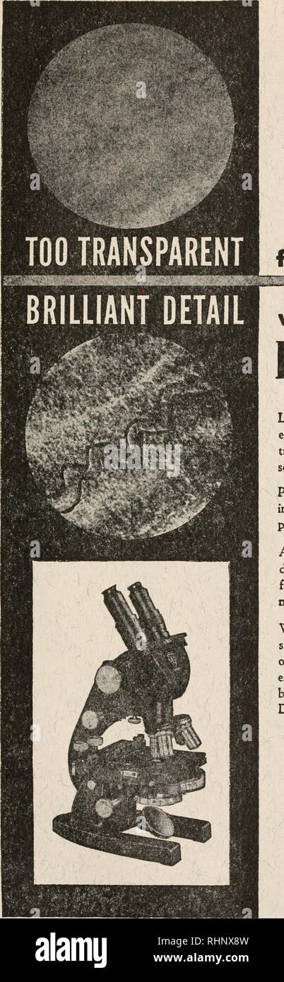 . El boletín biológica. La Biología, Zoología; biología; biología marina. De ordinario con microscopios microscopios fase AO organismos vivos y tejidos, pale o desapareció a los preparativos, emulsiones, plásticos y otros materiales son a menudo demasiado transparentes para ser visto por el campo brillante ordinaria micro* scopy. i fase microscopía invisible convierte las diferencias en la densidad de la muestra en imágenes que son claramente visto y fotografiado. AO pionero hoy métodos de microscopía de fase mediante el desarrollo de numerosos tipos y graduaciones de contraste para enfatizar distintos detalles y asegurar que nada es el misse Foto de stock