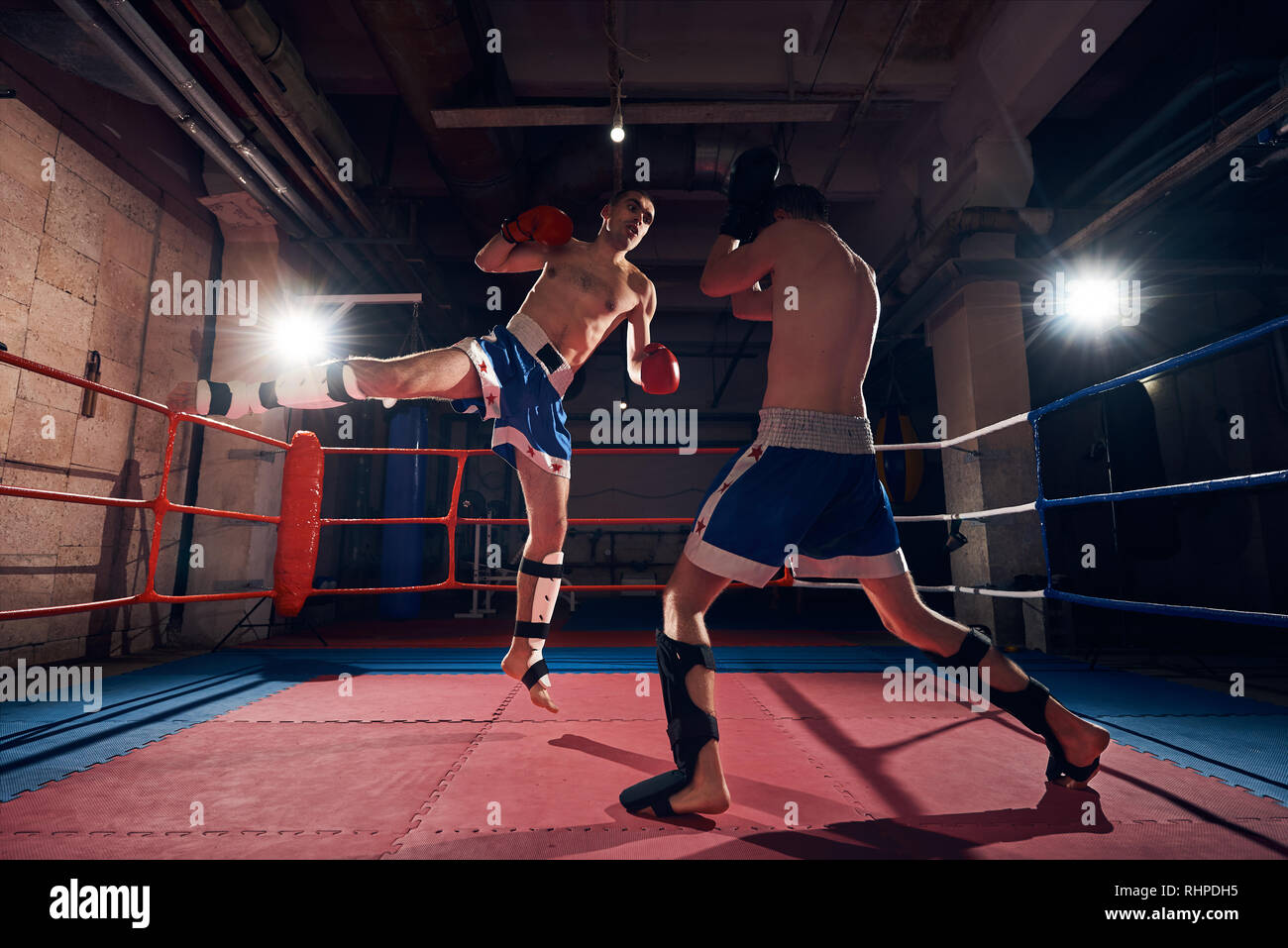 Deportista fuerte patada boxeadores ejercicio kickboxing con sparring en el anillo en el club deportivo Foto de stock