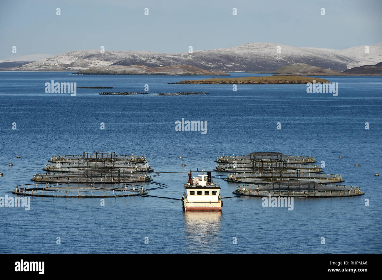 Redes de cultivo de salmón en las costas de Burra en Shetland, Escocia. Foto de stock