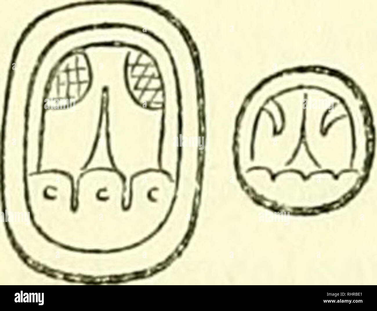 . Biologia CentraliAmericana, o contribuciones al conocimiento de la