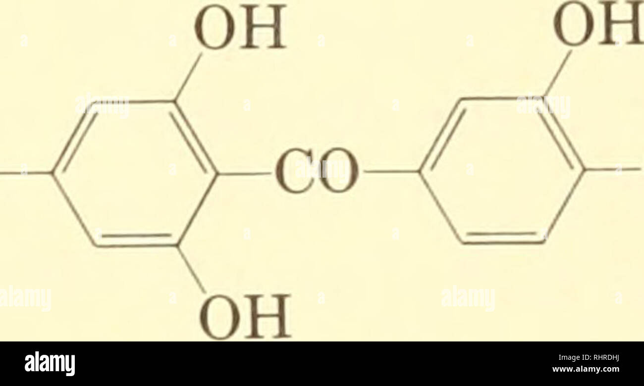 Systematics Bioquimicos Variacion Bioquimica Botanica Sustancias Fenolicas 193 Ho Ho Ho Phloroglucinol Sequoia Sempervirens Ho N 0 H P Hydroxybenzaldehyde Ho Ho Ho Cooh Acido Galico H0 C Ch3 O P Hydroxyacetophenone Populus Trichocarpa