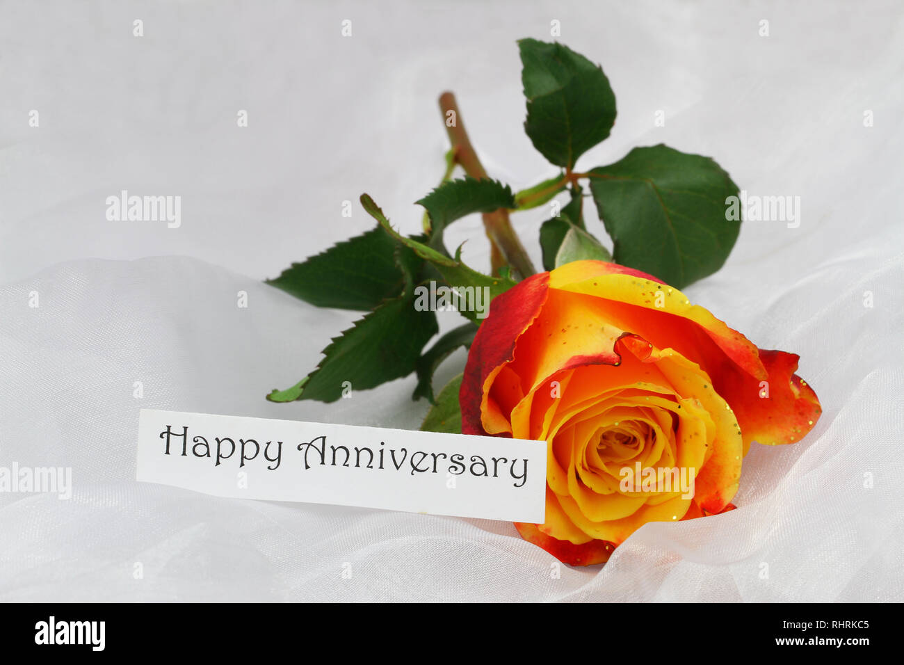 Feliz Aniversario tarjeta con uno rojo y rosa amarilla salpicada con purpurina sobre textiles blanco Foto de stock