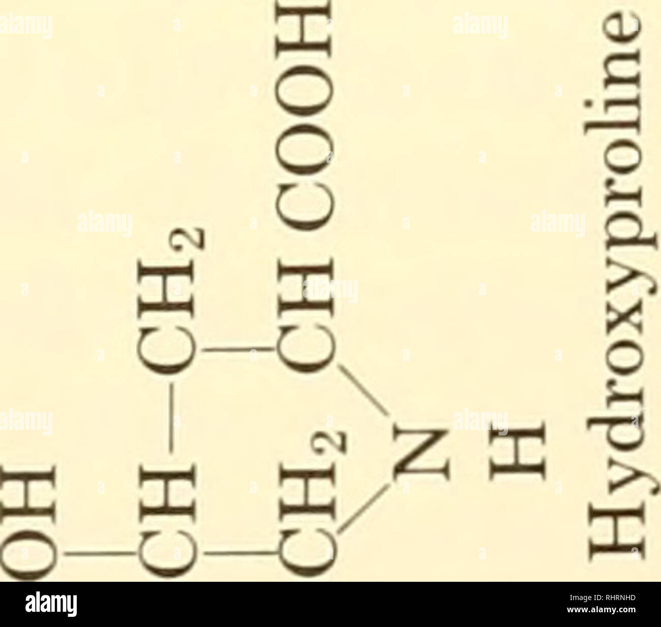 Systematics Bioquimicos Variacion Bioquimica Botanica Aminoacidos 95 T3 4 Co Cc M S De 3 A 1 Para O Cc Oi P A 3 1 03 O Co 0 3 Ser