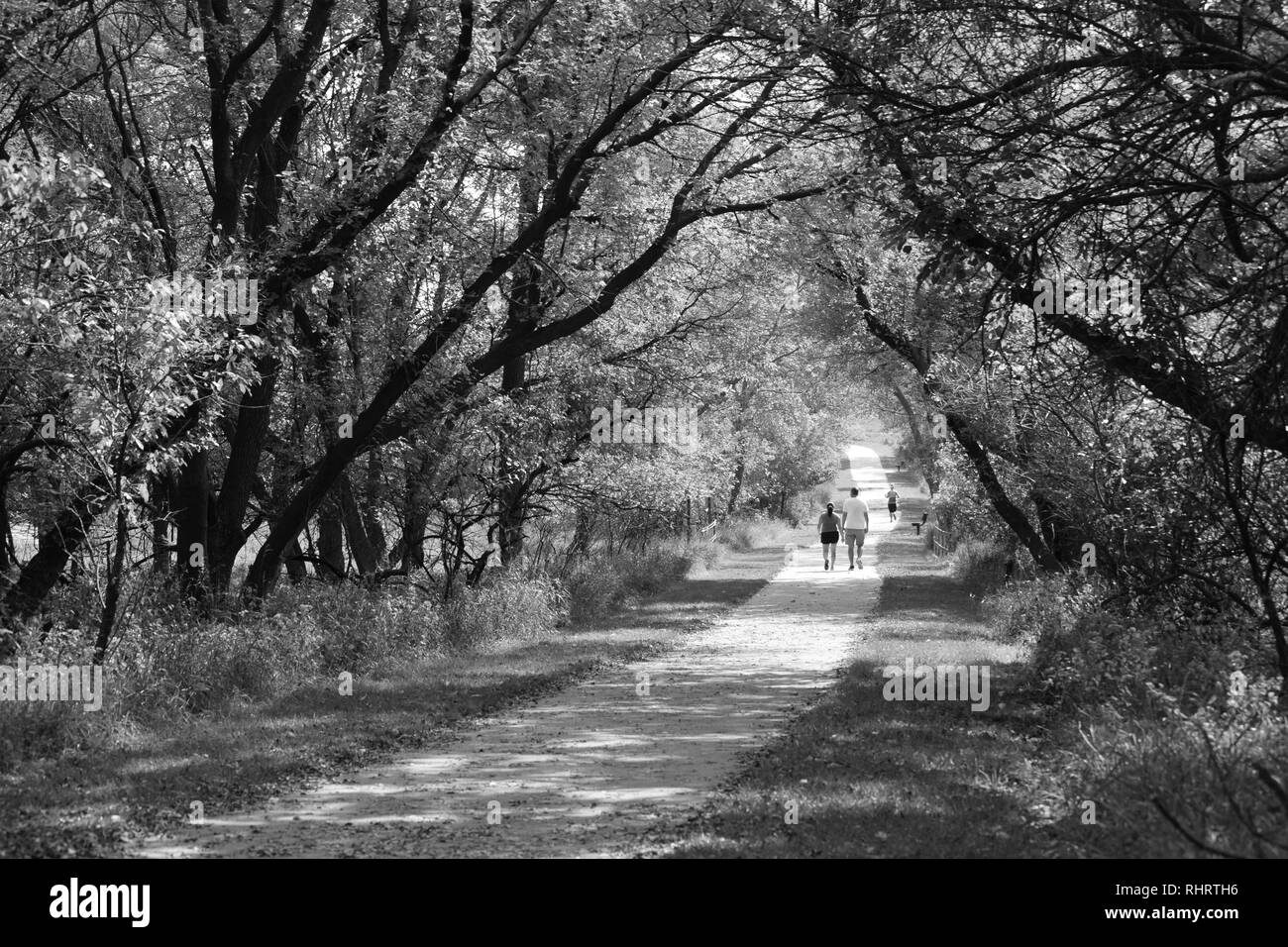 Par caminando por Ruta en Nebraskan Park Foto de stock