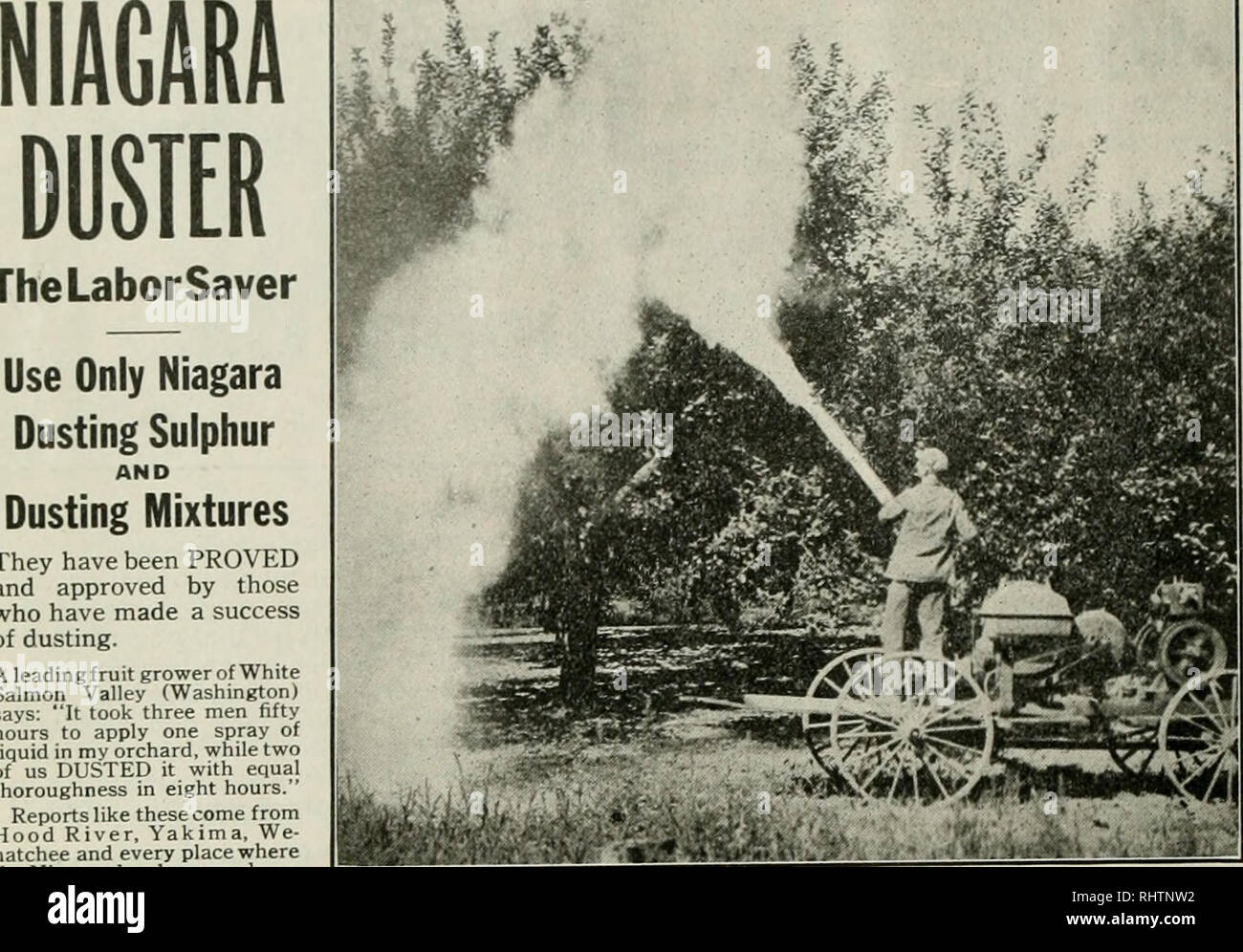 . Mejores frutos. Fruitcultura. Página 22 Marzo los mejores frutos