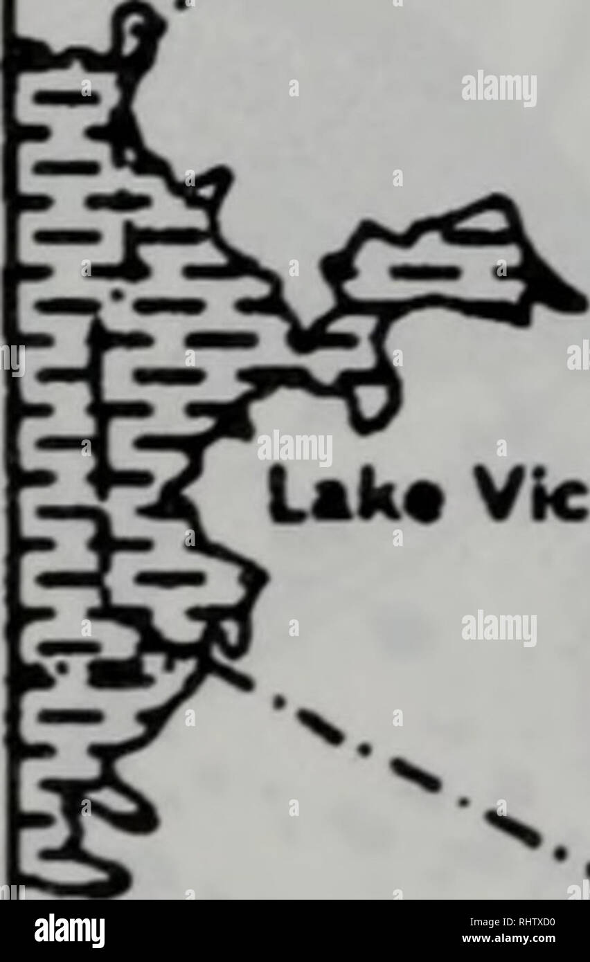 Biao Ben Guan Shou Ce Botanica A 45 A A A Ae A E E A Ae e A A Ac A I Xii B E E I Xii C Ec C A Ae Ae E Ca A 154 De Kenya Yo Lillllllli Ka Ia Ya Rdera Aba Mu Uka Victoria Nairobi Tanzania A Mountain A Towne C Makinga Tana Riva