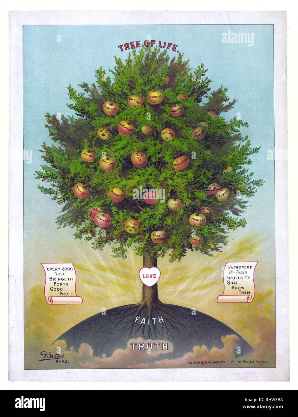Ilustración de Árbol De La Vida 4 Temporadas Ilustración De Concepto  Vectorial y más Vectores Libres de Derechos de Árbol de la vida - Arquetipo  - iStock