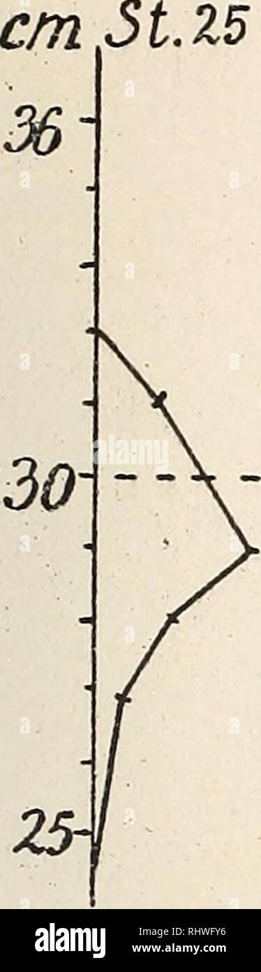 Bergens Museos rbog La Ciencia Ta F Et I Whtwsvino 30s7l Ild A Acesund 1906 Ya Arsild Ha Uyesund 1906 Por Favor Tenga En Cuenta Que Estas Imagenes Son Extraidas De La Pagina Escaneada Imagenes