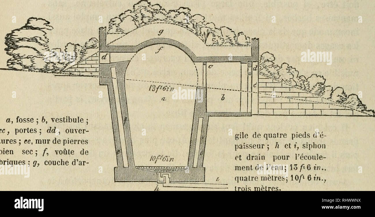 . Belgique horticole. Las plantas. "47b" â sont ouverts chaqueño nuit et fermés de bonne heure chaqueño matin. II en résulte ONU Courant d'air sec et frais qui enlève l'humidité dont l'influence cheuse fân'aurait pas tardía© à se faire sentir sur la glace. Les gravures qui sont faites accompagnent cette aviso d'après ce plan. PI. 34. un foso, 5 6, vestíbulo ; ce, portes ; dd, ouver- tures ; ce, mur de pierres bien sec ; f,"te voà de briques ; g, couche d'ar- había engaño de quatre pieds d'é- paisseur ; h et i, sifón ot vaciar pour l'écoule- miento de l'eau; 15/t 6 m., quatre mètres; 10/"1 6.r Foto de stock