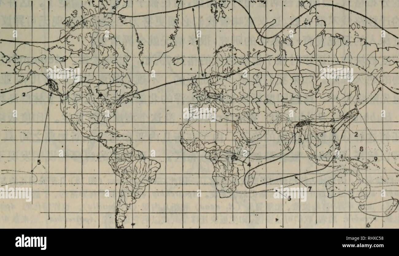 Bei Zi Zhi Wu De Qi He Zao Yuan Qi Hua Yan E A Ae C C Ceµ Aeºaae C Aeae A Botanica A 23c C C Trichocolcaceae Nakai Ecº I Caa I A A ªae Aec Ae Ae A Cc Aecaae C C A A A ªa A V Eotrichocoleti Schust Ac Ca 2 Cº C Tfichocoleiz Dumort 30a40a ªc