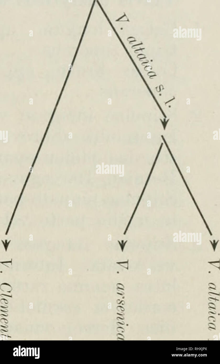 Bsl 3 Fotos E Imagenes De Stock Alamy