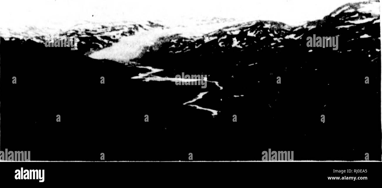 . El último crucero de Miranda [microforma] : un registro de aventura ártica. Miranda (Barco); Miranda (Navire); Historia natural; los Inuit; Sciences Naturelles; Inuit. !)4 Hasta: Último ( Ullsi: OK TIN-; MIUANDA. teau a orillas de un pequeño arroyo. Todo alrededor de nosotros la gran, gaunt montañas se levantó, y cerca de l&GT;y un glaciar eoursed liuge (abajo a la mar. IMie mañana siguiente fuimos por ilve oVh)ek, ai;d cada uno tomó un esquimal guía, e ir- ing ins propio camino, comenzó a liunt ese reno que se dice inliabit tliese regiones. Por niglitt'todas las partes estaban de regreso en el campamento de nuevo, cansado, hambriento, d Foto de stock