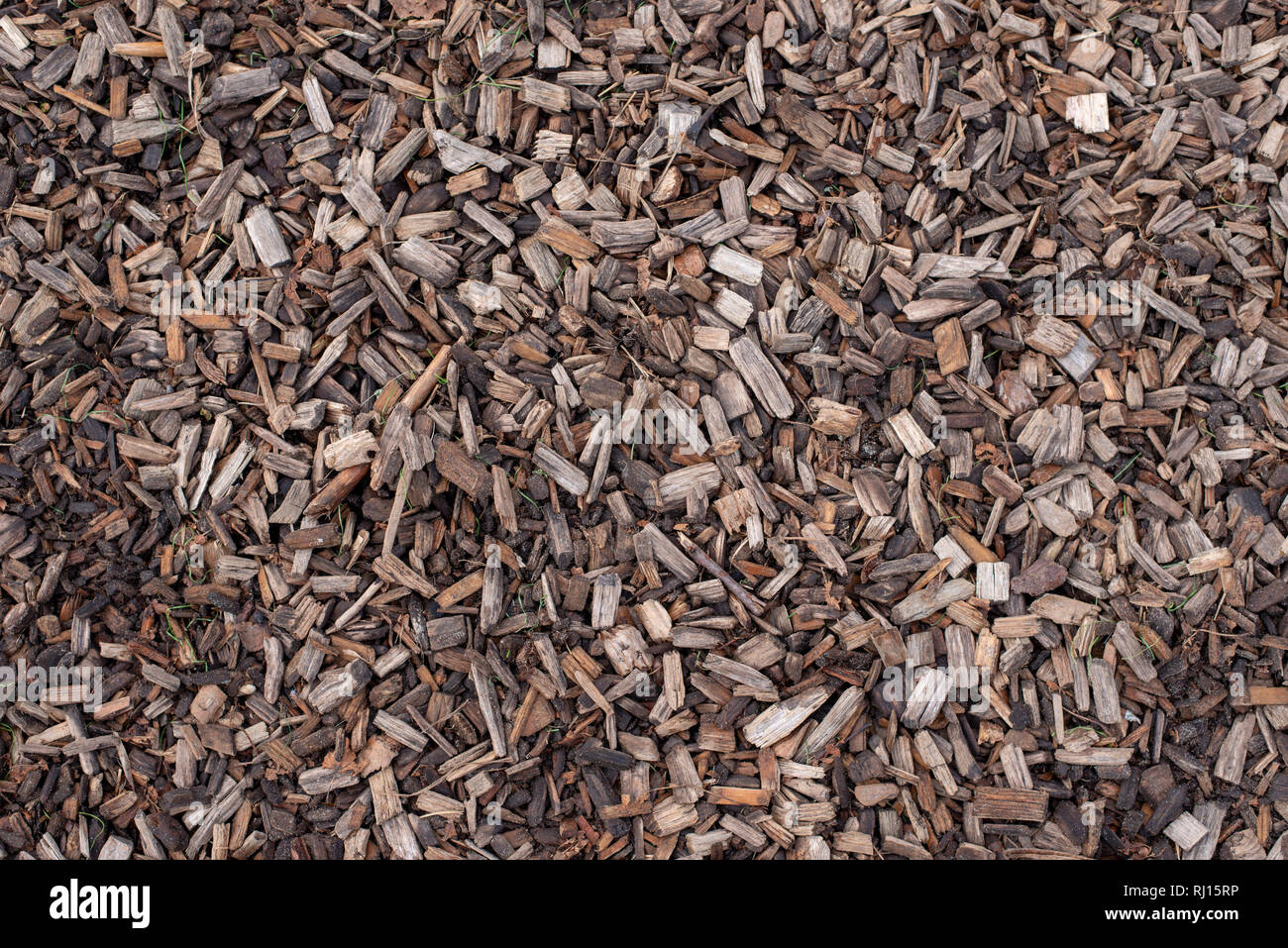 Último Groenlandia Orden alfabetico Chips de corteza de madera textura de fondo Fotografía de stock - Alamy