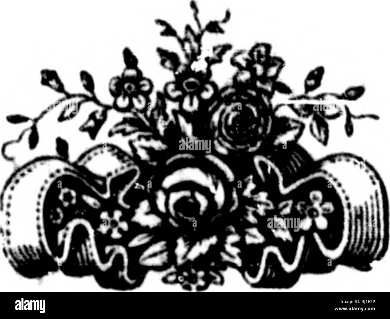 Ralla Fotos E Imagenes De Stock Alamy