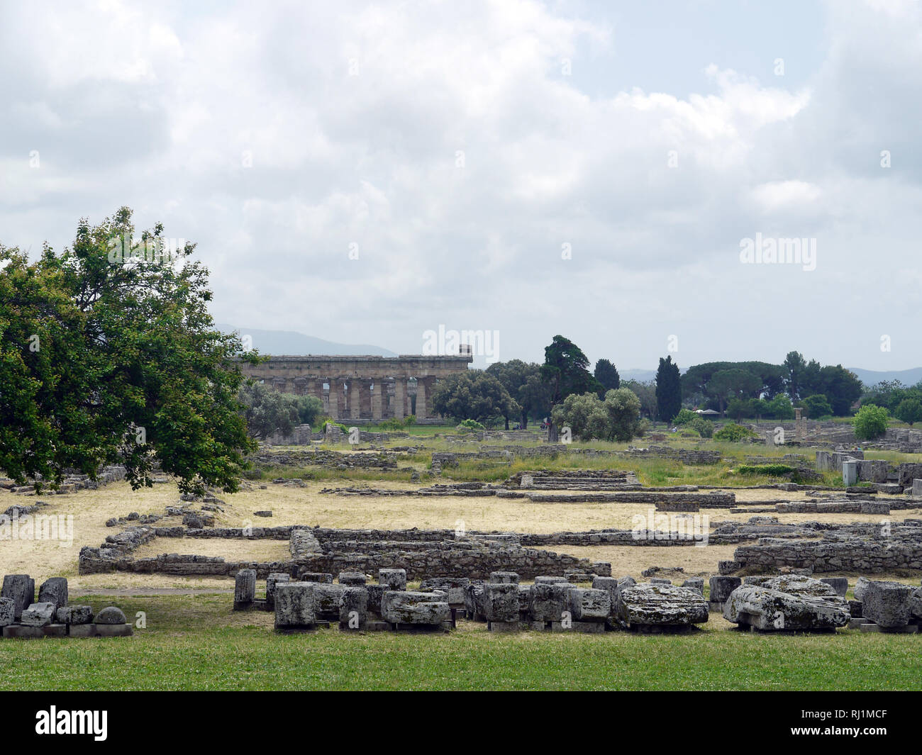 Templo de Hera, en Paestum, Italia, siempre vista desde el templo de